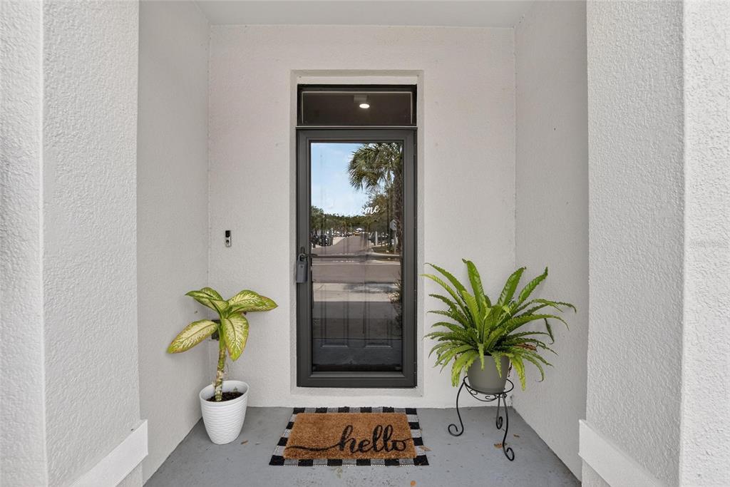 A front entryway features a glass door, a welcome mat, and two potted plants — 3315 PLEASANT WILLOW COURT, BRANDON, FL