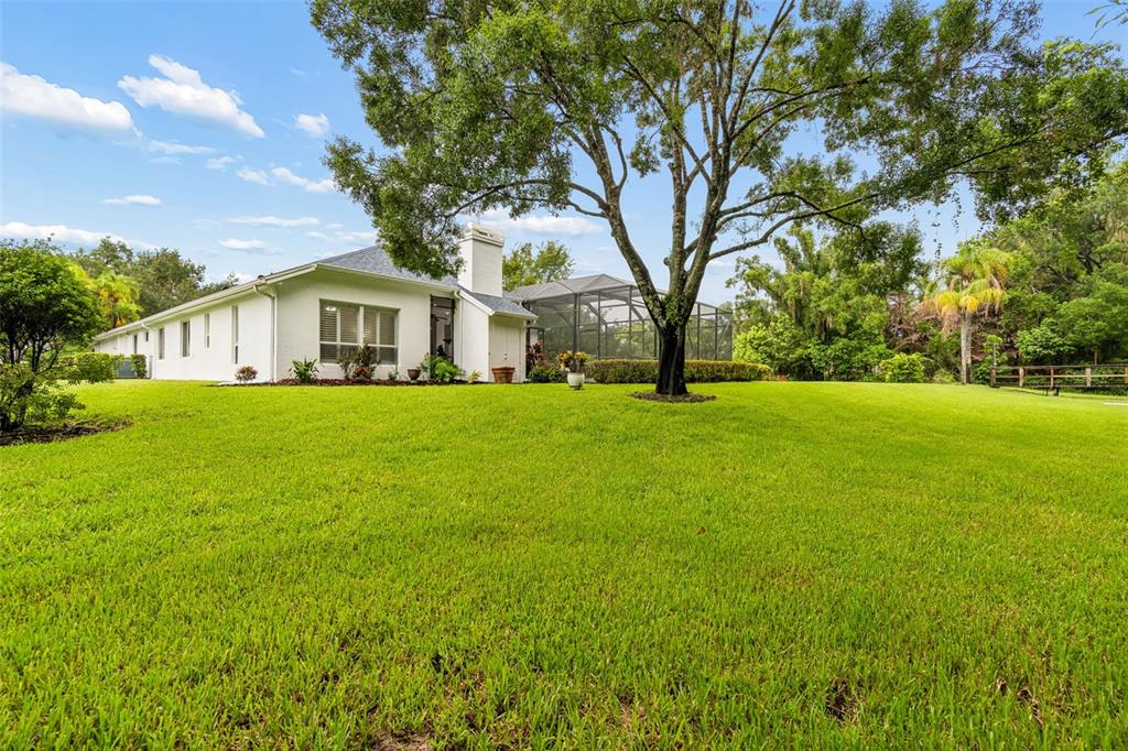 A pair of blue double doors with decorative glass panels are set in a white wall — 21105 LAKE VIENNA DRIVE, LAND O LAKES, FL