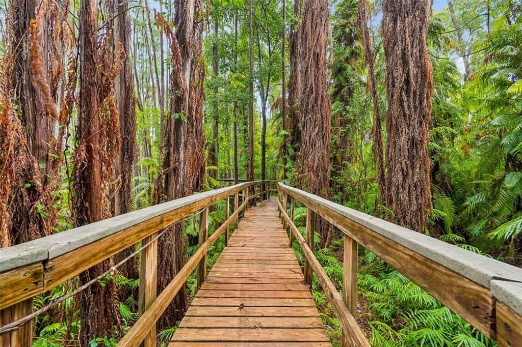 A bright entryway features double glass-paneled doors, light wood flooring, and a decorative console table — 21105 LAKE VIENNA DRIVE, LAND O LAKES, FL