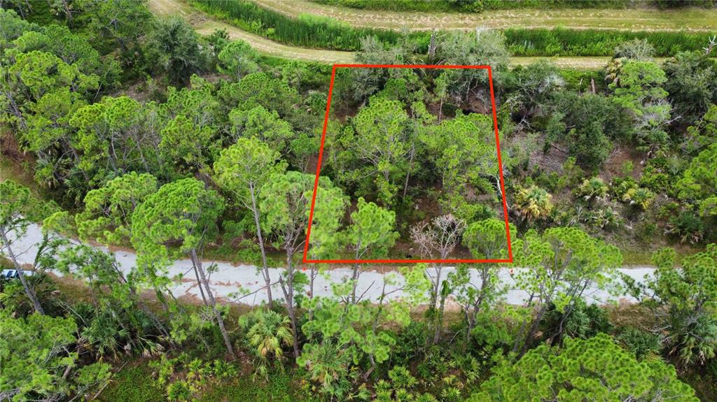 An aerial view shows a rectangular plot of land outlined in red amidst wooded vegetation — APRICOLA RD, NORTH PORT, FL