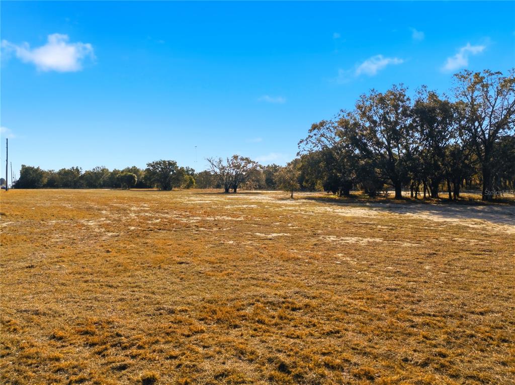 A wide, grassy field features scattered trees under a bright blue sky — FRIEDLANDER ROAD, LAKE WALES, FL