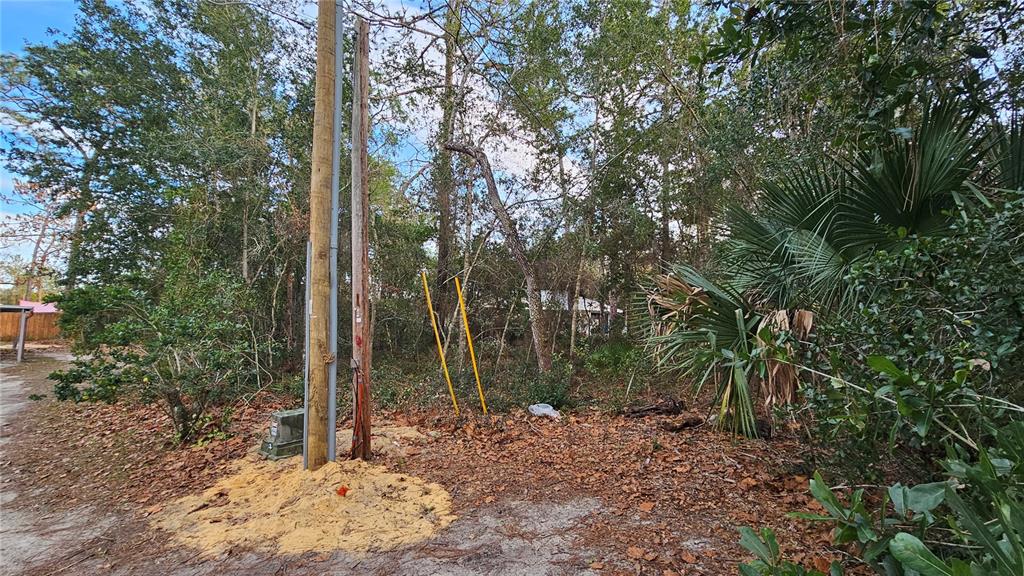 A utility pole stands in a wooded lot with a pile of sand at its base — W SEVENTH AVENUE, UMATILLA, FL