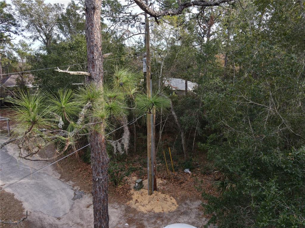 An aerial view shows a utility pole and a pine tree near a paved driveway — W SEVENTH AVENUE, UMATILLA, FL