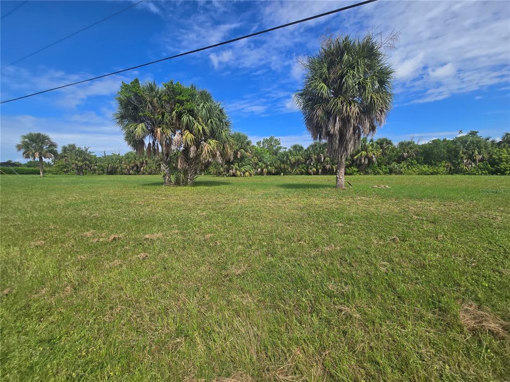 A grassy, open lot features several tall palm trees under a bright blue sky — 16955 ACAPULCO ROAD, PUNTA GORDA, FL