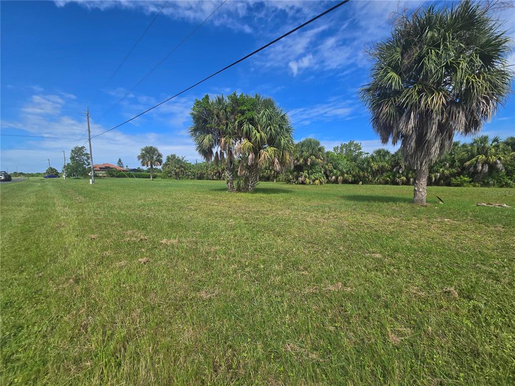 A grassy, vacant lot features several palm trees under a bright blue sky — 16955 ACAPULCO ROAD, PUNTA GORDA, FL