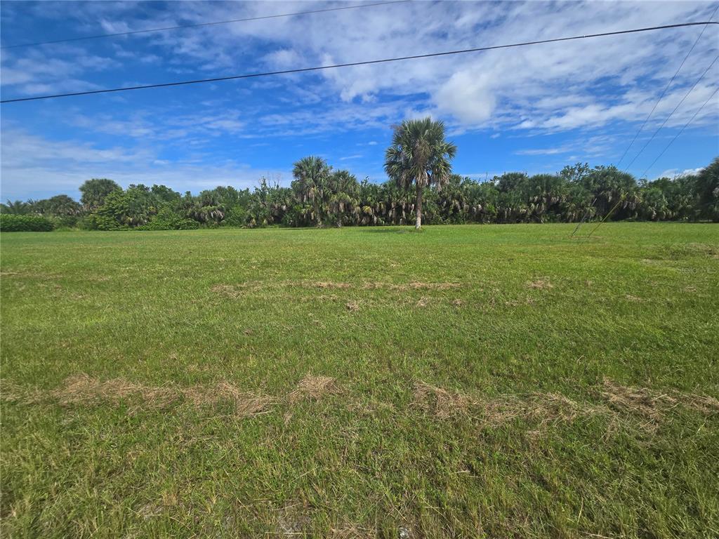 A wide, grassy vacant lot features scattered palm trees under a blue sky with clouds — 16955 ACAPULCO ROAD, PUNTA GORDA, FL