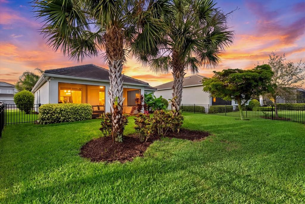 A backyard with a lawn, palm trees, and a house with a screened-in patio — 12315 BLUE HILL TRAIL, BRADENTON, FL