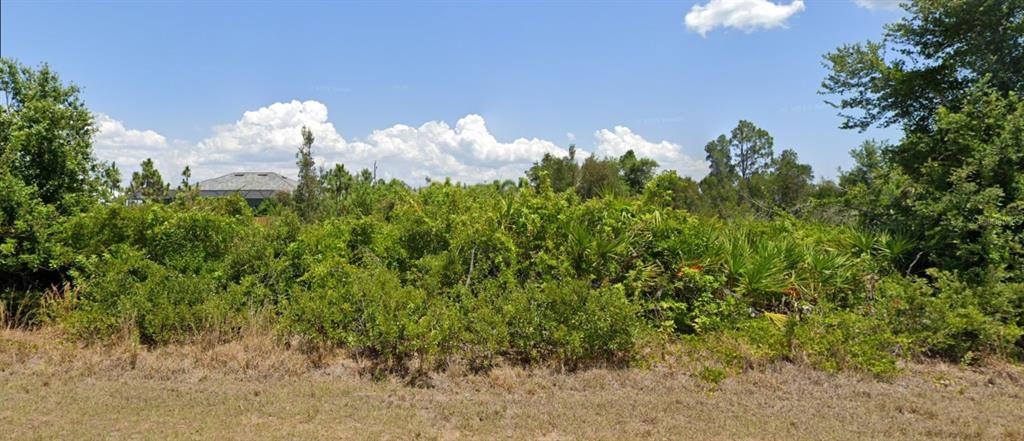 A dense, overgrown lot with shrubs and trees under a blue sky with clouds — 9204 & 9196 RAVEL STREET, PORT CHARLOTTE, FL