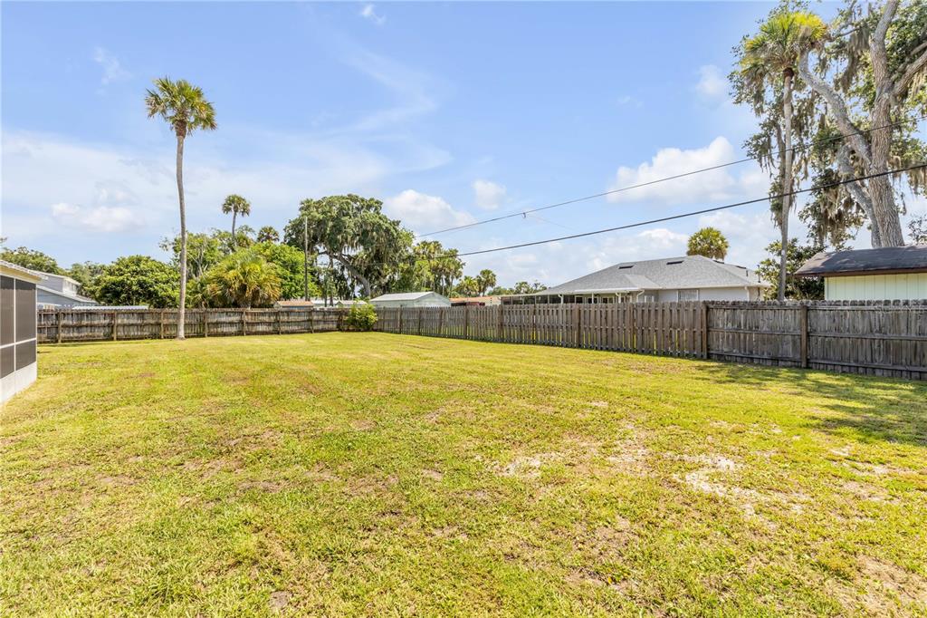 A large, grassy backyard features a wooden privacy fence and several tall palm trees — 2716 KUMQUAT DRIVE, EDGEWATER, FL