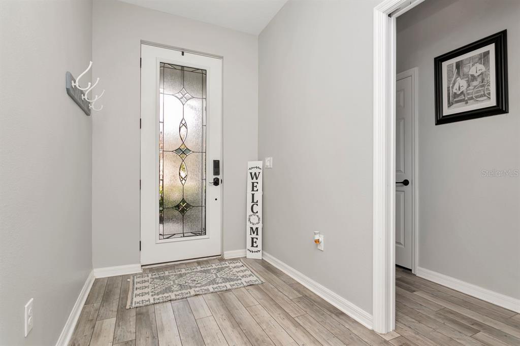 An entryway features a glass-paneled front door, light gray walls, and wood-look flooring — 11701 BRIGHTON KNOLL LOOP, RIVERVIEW, FL