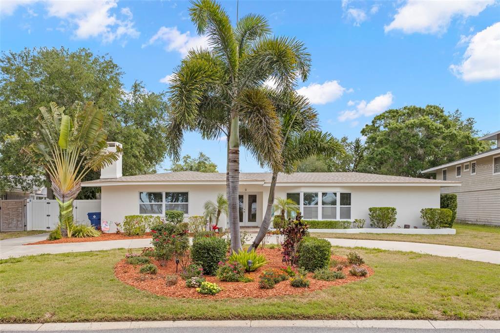 A single-story house with a white exterior, a palm tree, and a landscaped front yard — 125 CARLYLE DRIVE, PALM HARBOR, FL
