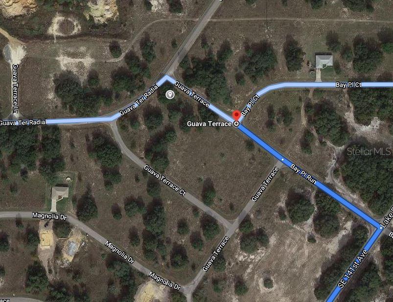 GUAVA TERRACE, OCKLAWAHA, FL — photo 2 of 3