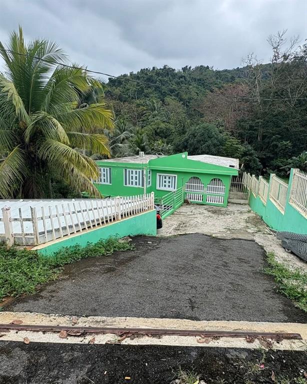 A bright green house with a paved driveway and white fencing sits against a hillside — LA BARRA 105 F, CAGUAS, PR