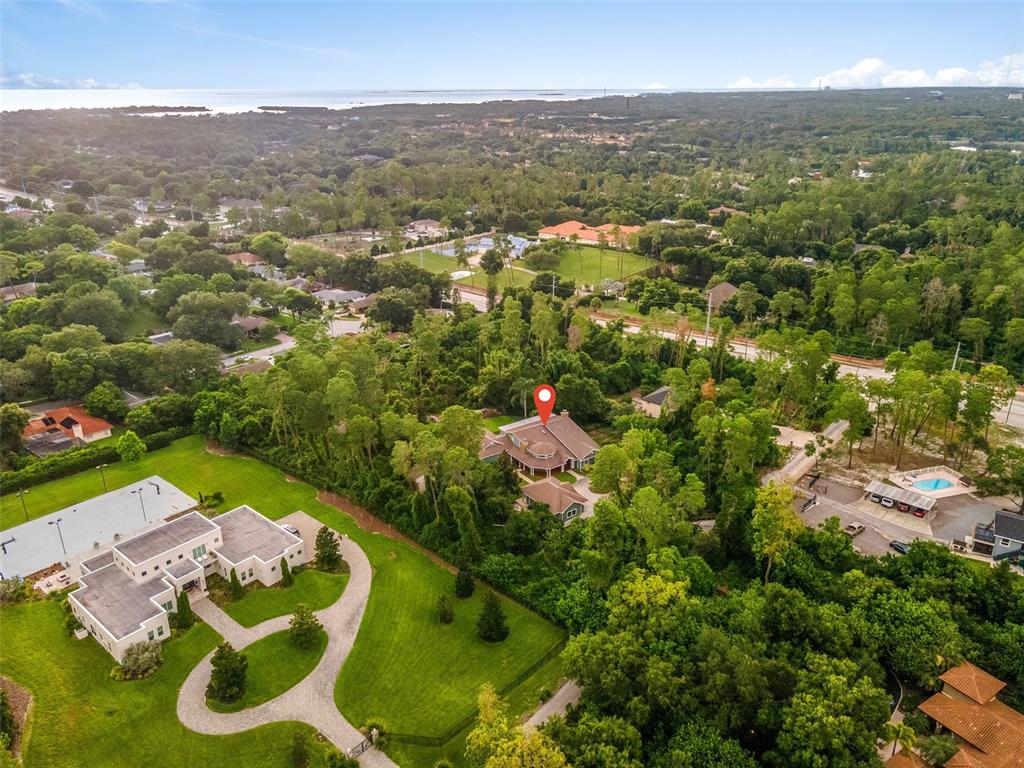 An aerial view shows a house marked with a red pin surrounded by dense trees — 967 PINE HILL ROAD, PALM HARBOR, FL