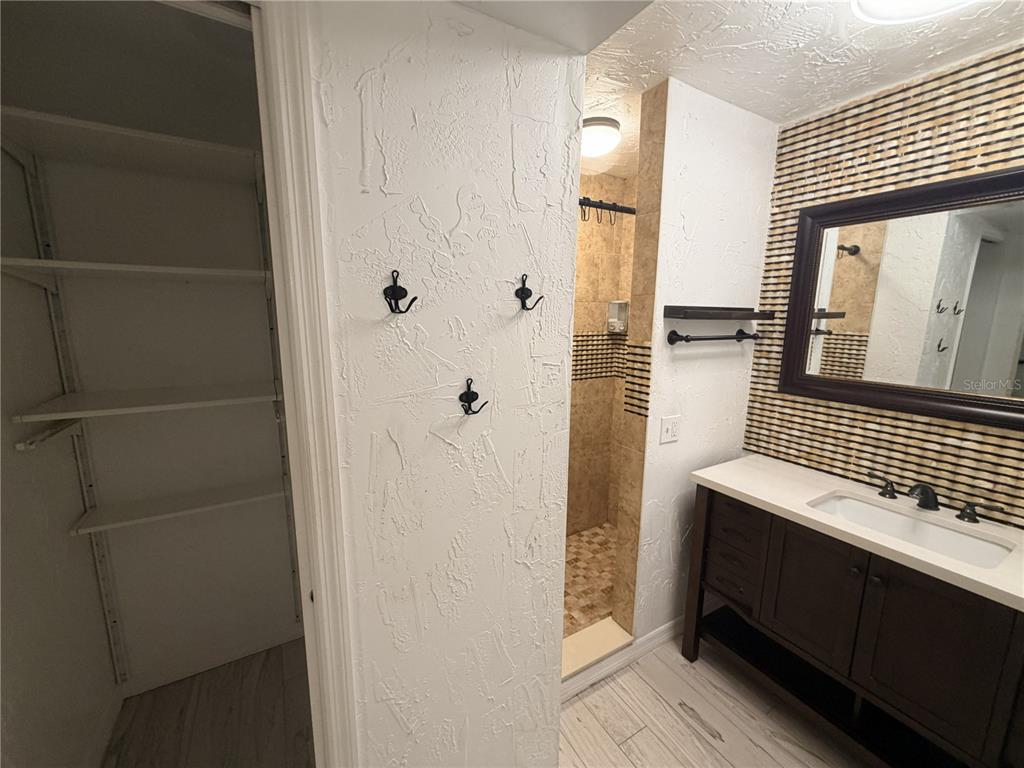 A bathroom features a vanity, a walk-in shower, and an adjacent open shelving closet — 1707 W COMANCHE AVENUE, TAMPA, FL