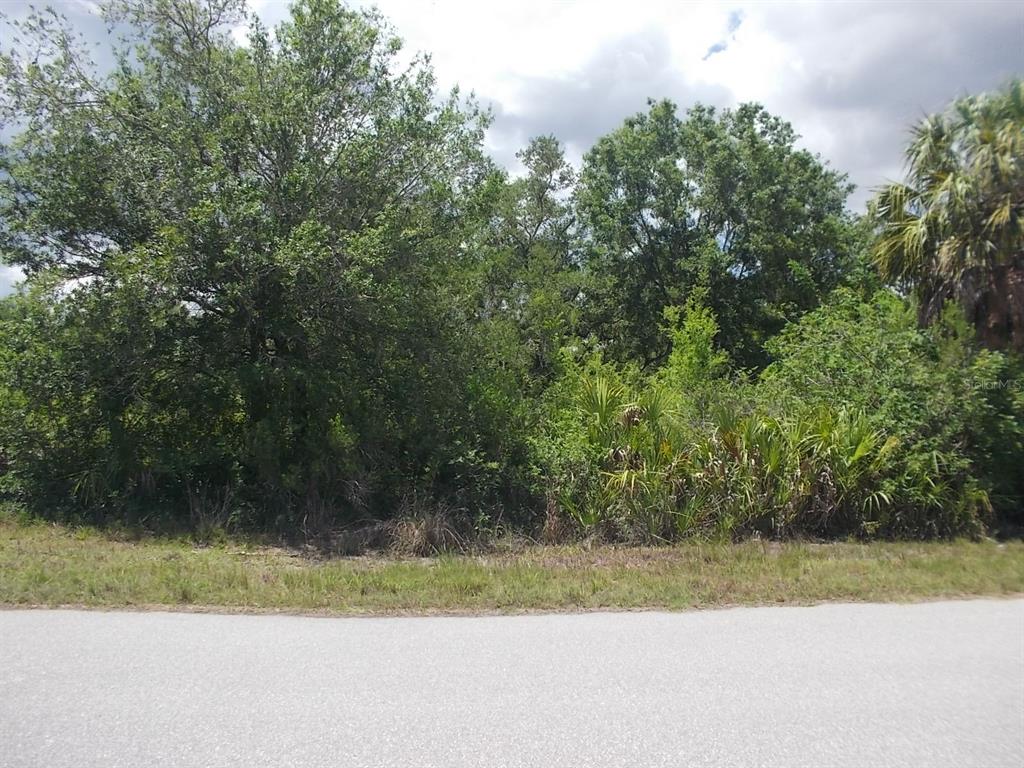 A view of a vacant, wooded lot from an adjacent paved road — 15038 DORN TERRACE, PORT CHARLOTTE, FL