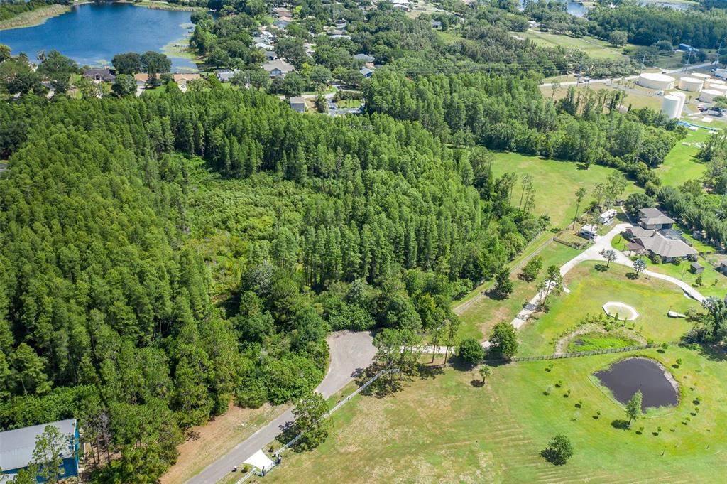 An aerial view shows a wooded lot adjacent to a grassy field and a pond — 0 TRACKSIDE DRIVE, ODESSA, FL