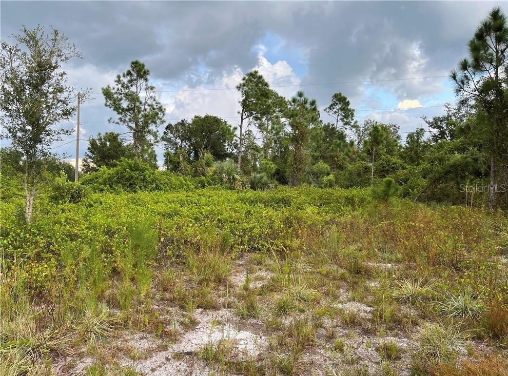 A vacant, overgrown lot with sandy soil, low-lying shrubs, and scattered trees under a cloudy sky — 2250 SULSTONE DRIVE, PUNTA GORDA, FL