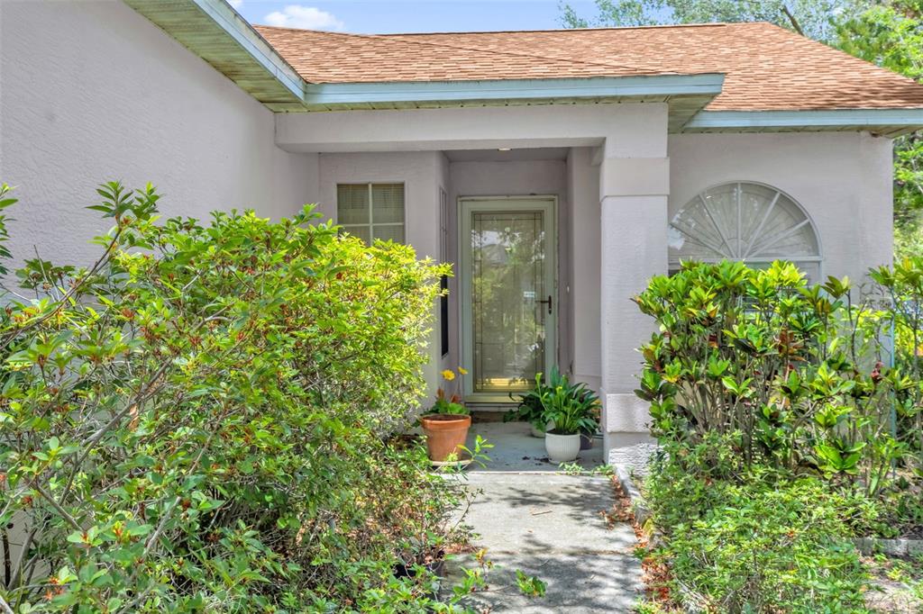 A concrete walkway leads to the front entrance of a house with light-colored stucco walls — 1237 FRANFORD DRIVE, BRANDON, FL