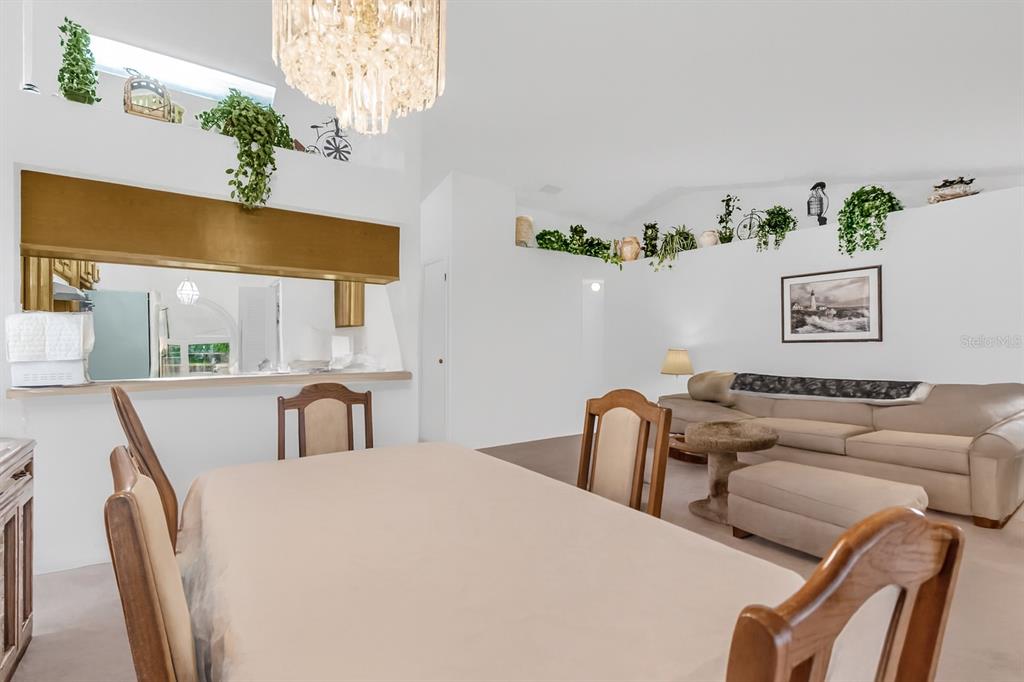 A dining area with a table and chairs opens into a living room with plants — 1237 FRANFORD DRIVE, BRANDON, FL