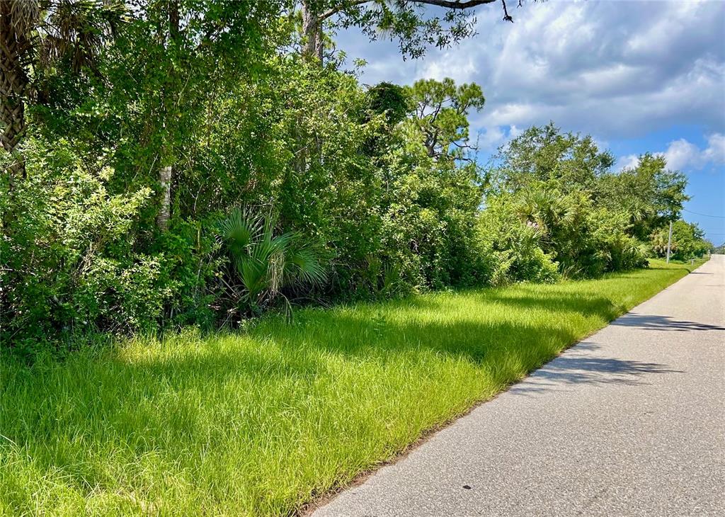 A paved road runs alongside a grassy lot bordered by dense trees and vegetation — 13451 & 13459 ELEANOR AVENUE, PORT CHARLOTTE, FL