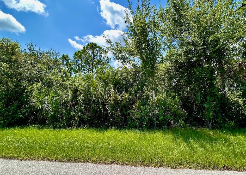 A grassy roadside leads to a dense thicket of trees and palm bushes under blue skies — 13451 & 13459 ELEANOR AVENUE, PORT CHARLOTTE, FL