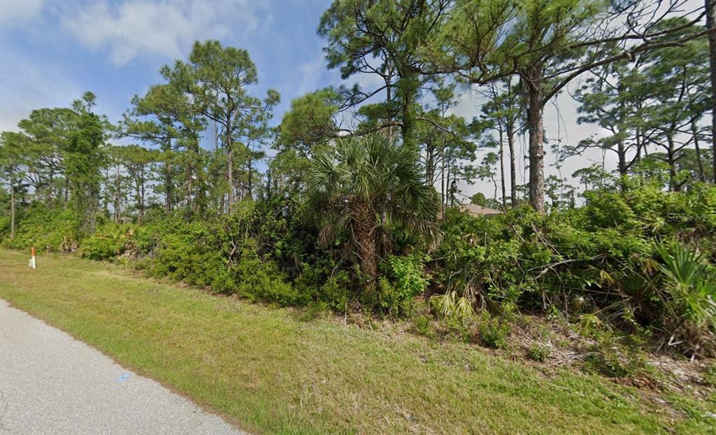 A grassy roadside leads to a dense, wooded lot with tall pine trees and palmettos — 12534 STEEN TERRACE, PORT CHARLOTTE, FL