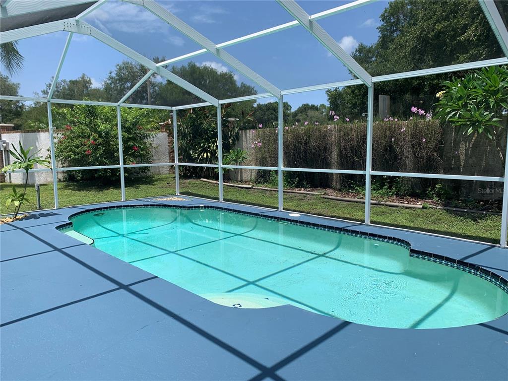 A swimming pool with a blue deck is enclosed by a white screen cage — 11417 GLENMONT DRIVE, TAMPA, FL