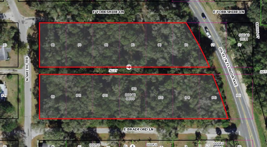 This is an aerial map showing two large, wooded rectangular parcels of land — 7188 N FLORIDA AVENUE, HERNANDO, FL