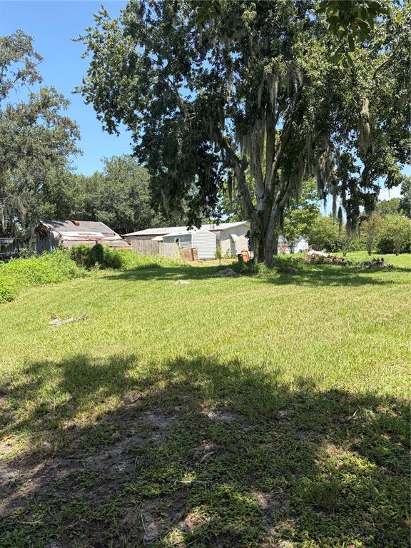 A large, grassy backyard features mature trees and a small, light-colored shed on the right — 30624 CLEARVIEW DRIVE, WESLEY CHAPEL, FL