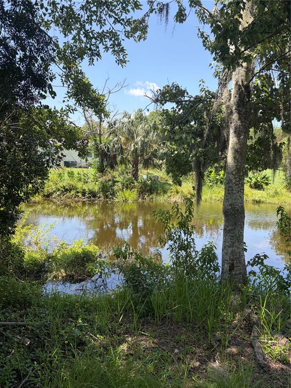 A large, grassy yard leads to a single-story house surrounded by mature trees — 30624 CLEARVIEW DRIVE, WESLEY CHAPEL, FL