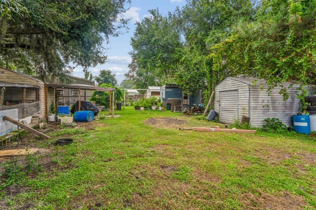 A grassy backyard features several storage sheds, a wooden structure, and scattered containers — 30624 CLEARVIEW DRIVE, WESLEY CHAPEL, FL