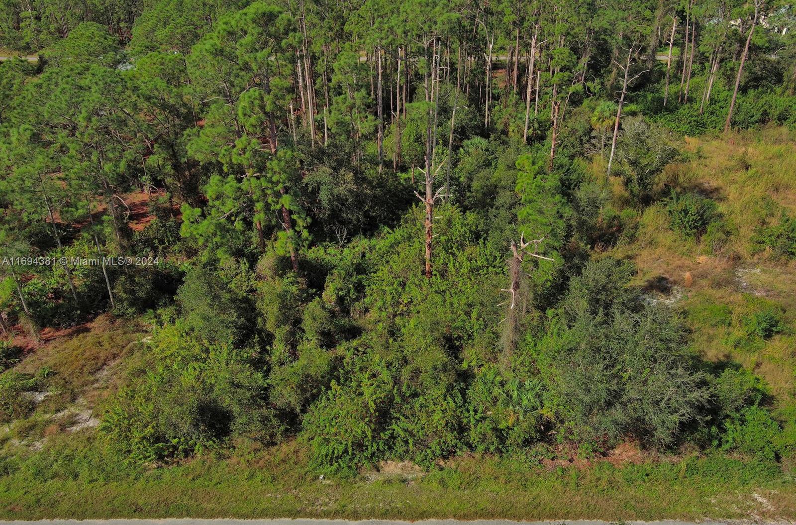 An aerial view of a densely wooded, undeveloped plot of land with tall pine trees — 1515 Glenn Ave, Lehigh Acres FL 33972, LEHIGH ACRES, FL