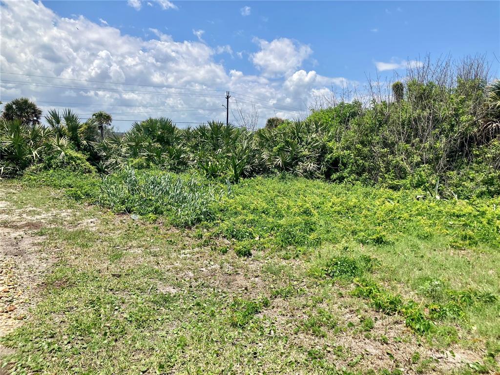 A vacant, overgrown lot with grass, shrubs, and palm trees under a cloudy sky — 6000 S ATLANTIC AVENUE, NEW SMYRNA BEACH, FL