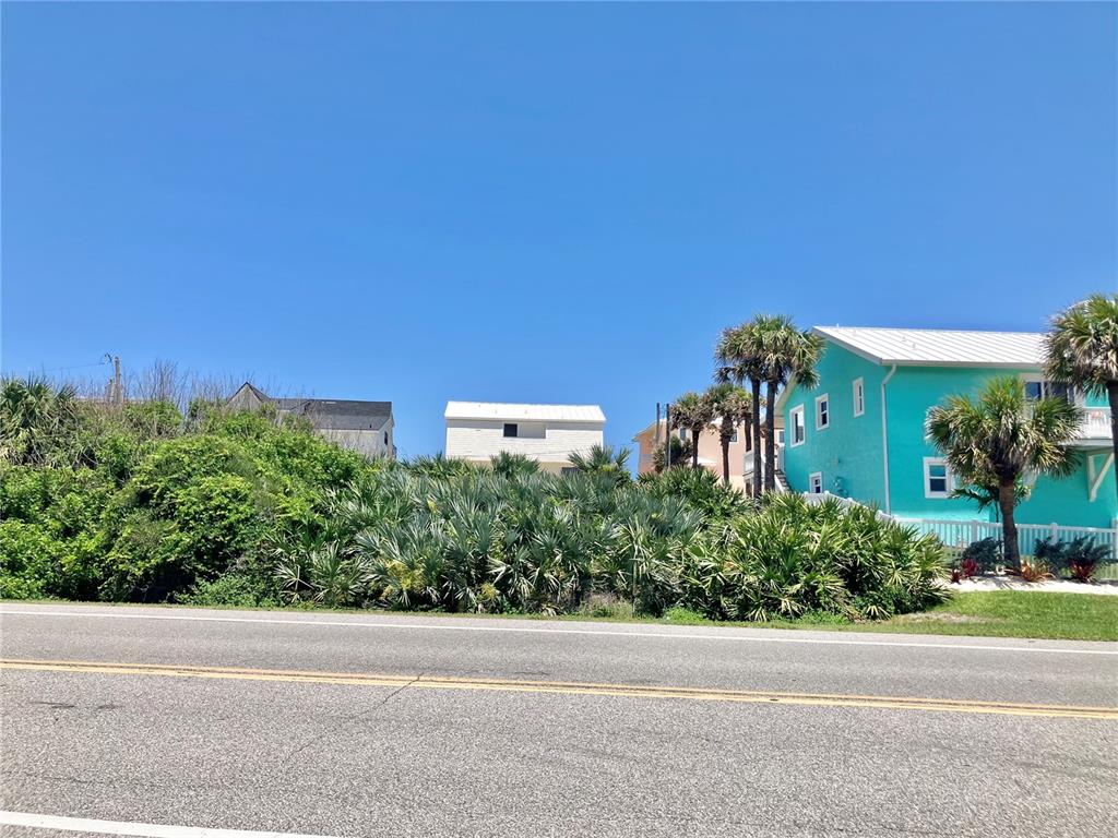 A paved road runs in front of a vacant lot with dense vegetation and nearby houses — 6000 S ATLANTIC AVENUE, NEW SMYRNA BEACH, FL
