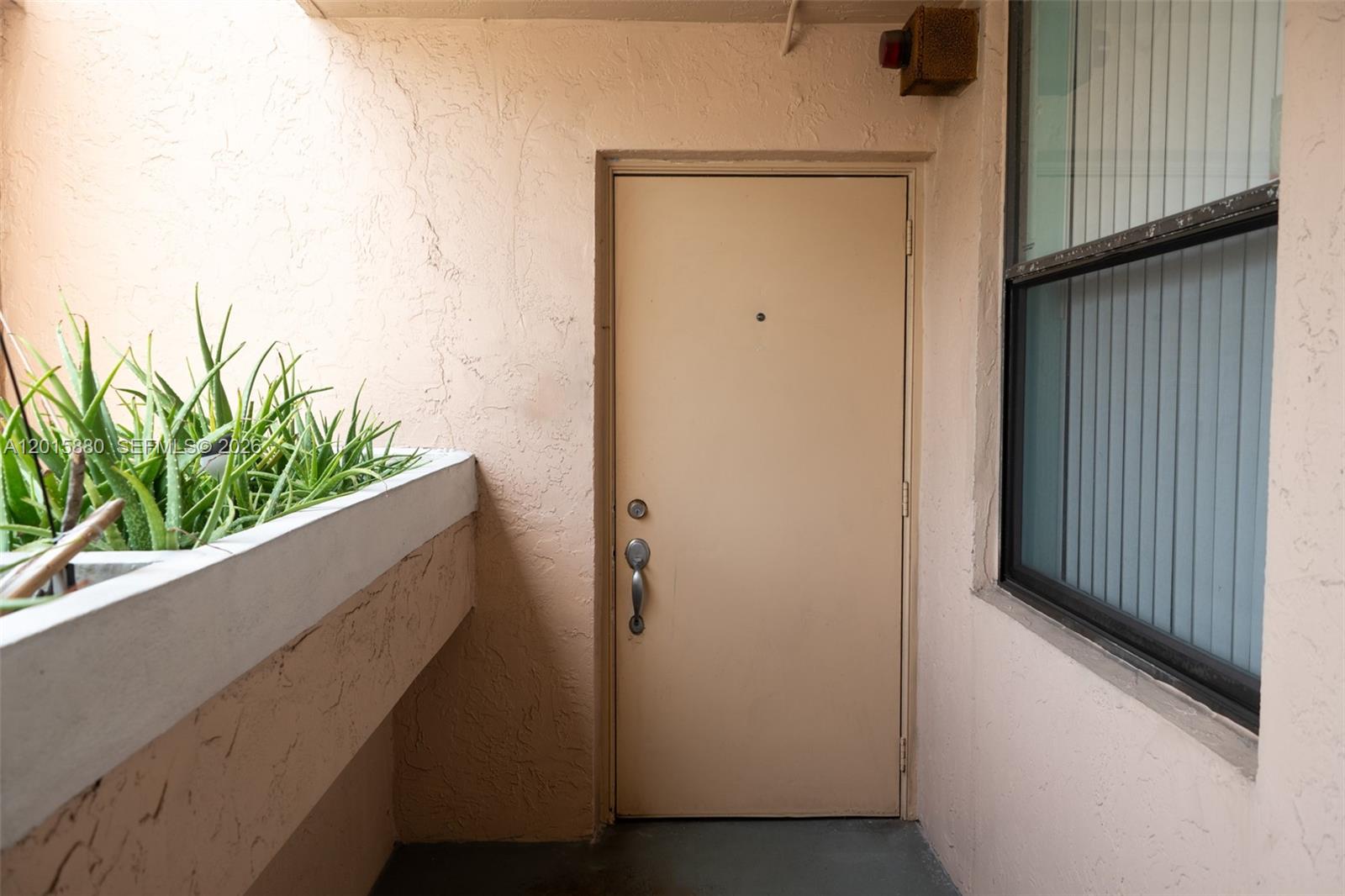 A beige door with a handle and deadbolt sits beside a planter of aloe plants — 6800 Cypress Rd # 415, Plantation FL 33317, PLANTATION, FL