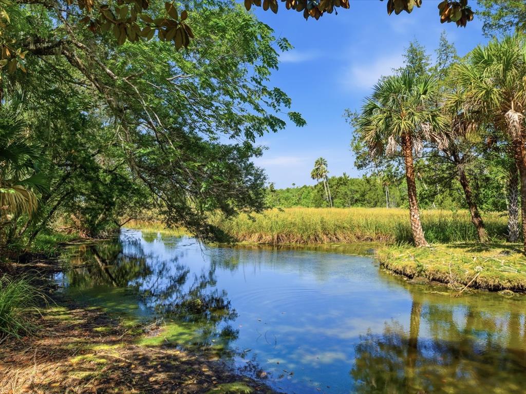 A calm stream flows through a lush, green landscape with trees and tall marsh grass — 8979 W WHITE DOGWOOD DRIVE, HOMOSASSA, FL
