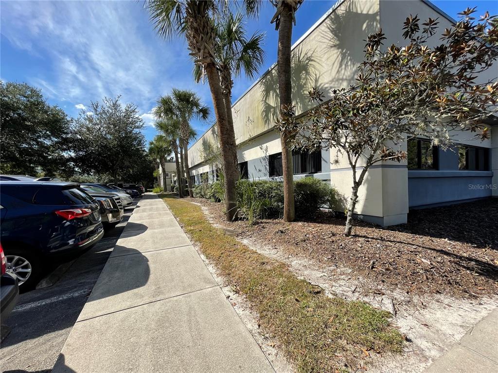 A sidewalk runs alongside a commercial building with palm trees and parked cars — 3600 SW 47TH AVENUE, GAINESVILLE, FL