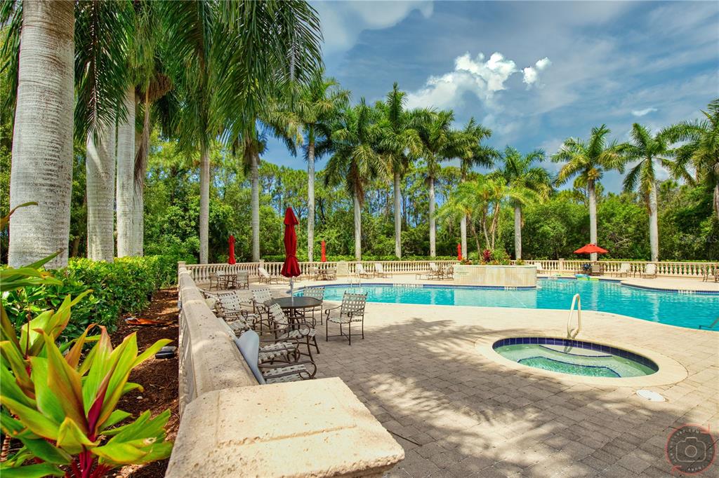 A swimming pool and hot tub are surrounded by a patio, palm trees, and seating — 4528 CANCELLO GRANDE AVENUE, VENICE, FL