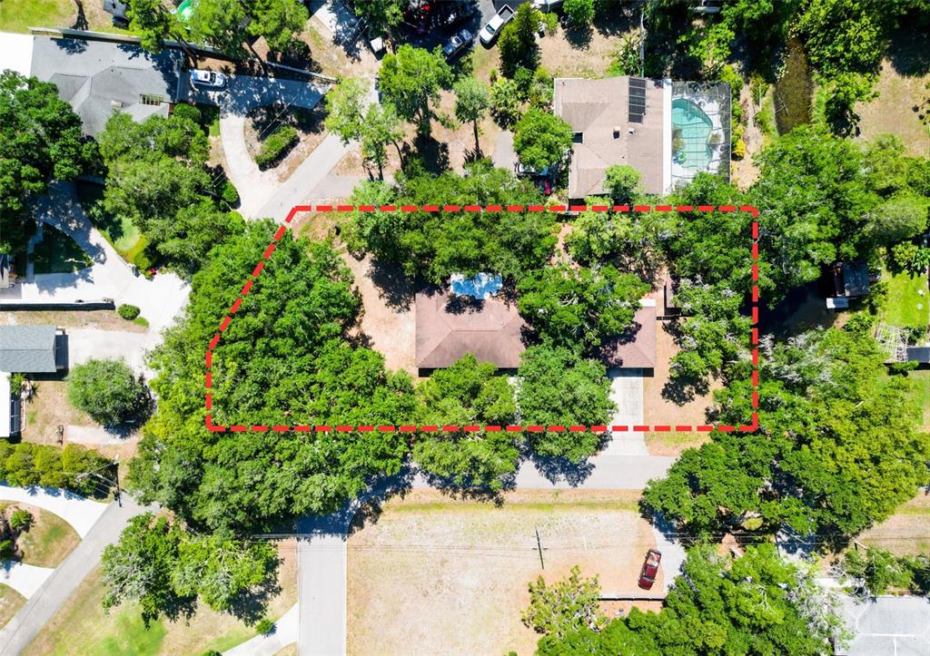 An aerial view shows a house with a brown roof surrounded by mature trees — 18202 OAKDALE RD, ODESSA, FL