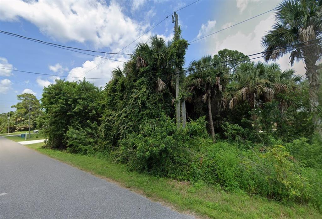 A view of a densely wooded, undeveloped lot along a paved road — Lot 21 JUNCTION STREET, NORTH PORT, FL