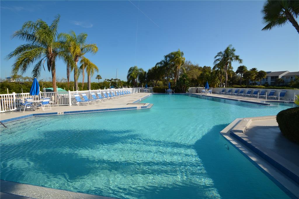 A large outdoor swimming pool is surrounded by lounge chairs, palm trees, and a white fence — 11300 HARBOR WAY UNIT 1731, LARGO, FL