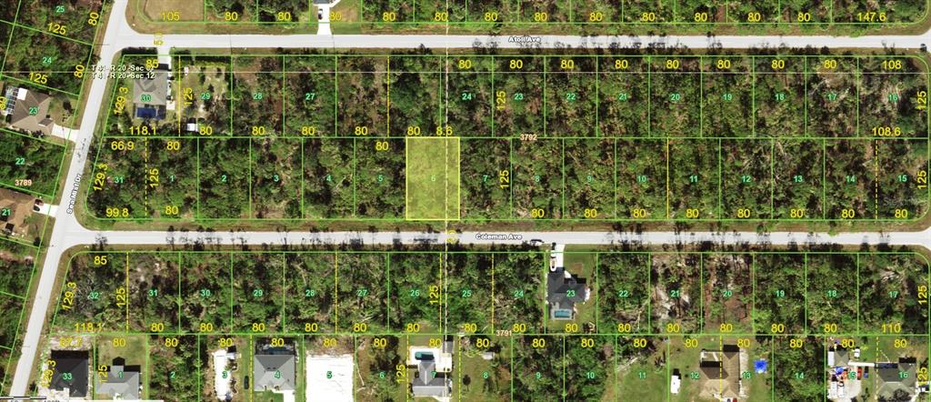 This is a satellite map showing a residential neighborhood with vacant lots and some houses — 11998 COLEMAN AVENUE, PORT CHARLOTTE, FL