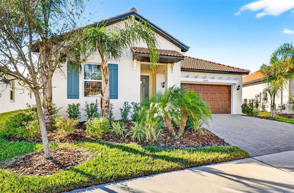 A single-story house with a stucco exterior, blue shutters, and a paved driveway — 17245 STAR BANKS ST, WIMAUMA, FL