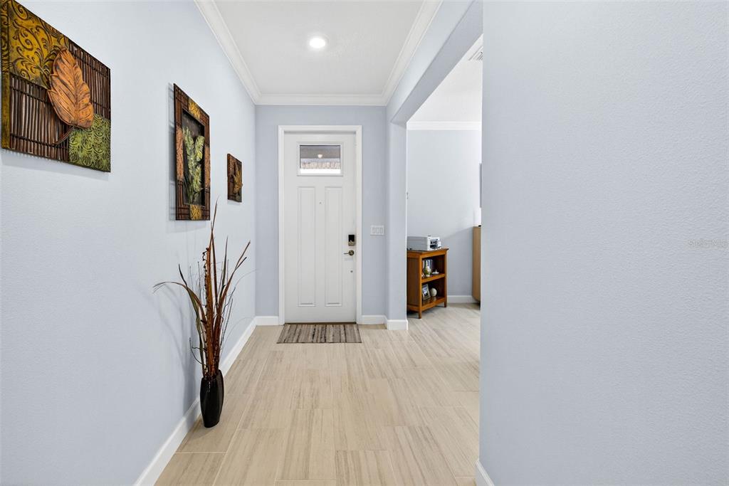 A light-walled entryway features a white front door, tile flooring, and decorative wall art — 17245 STAR BANKS ST, WIMAUMA, FL