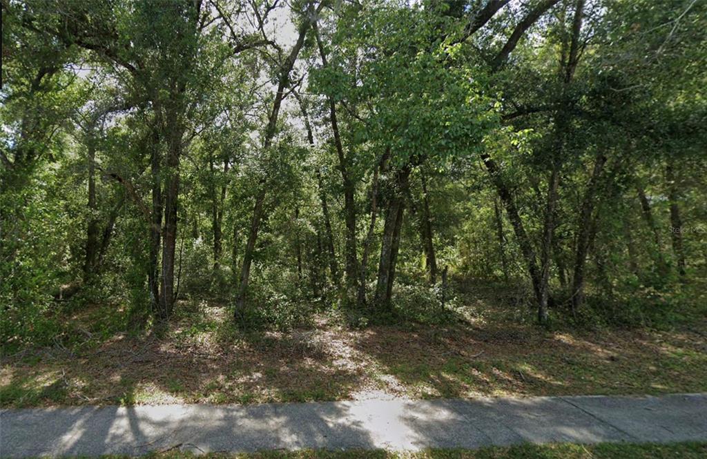 A dense, wooded lot is viewed from a paved sidewalk in front of the property — CHURCH, LAKE HELEN, FL
