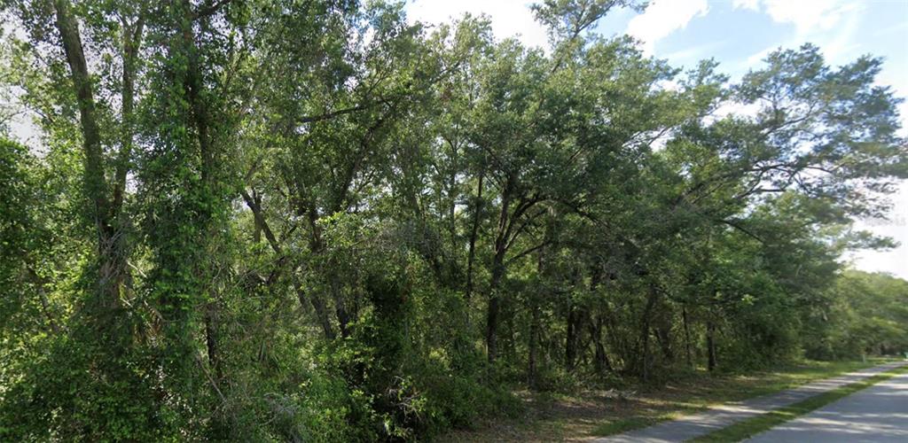 A wooded lot with mature trees sits adjacent to a paved road — CHURCH, LAKE HELEN, FL