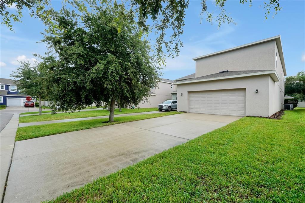 A two-story house with a concrete driveway, a two-car garage, and a large front tree — 14699 MAGNOLIA RIDGE LOOP, WINTER GARDEN, FL