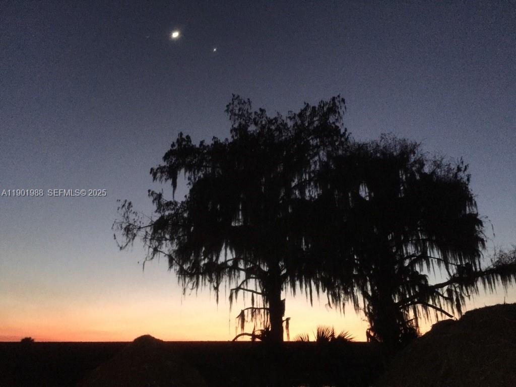 A silhouette of a large tree with Spanish moss stands against a twilight sky — 12600 SW Conners Highway, Okeechobee FL 34974, OKEECHOBEE, FL