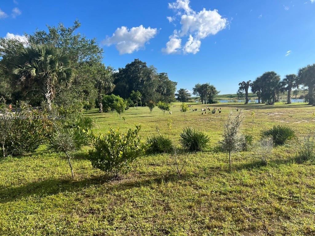 A grassy field with scattered small trees and palms leads toward a distant pond — 12600 SW Conners Highway, Okeechobee FL 34974, OKEECHOBEE, FL